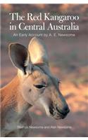 Red Kangaroo in Central Australia