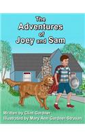 The Adventures of Joey and Sam: (1 The Adventures of Joey and Sam)