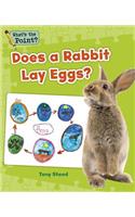 Does a Rabbit Lay Eggs?: (What's the Point? Reading and Writing Expository Text)