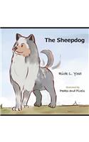 Sheepdog