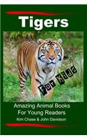 Tigers For Kids