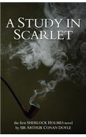 A Study In Scarlet: (English)