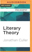 Literary Theory