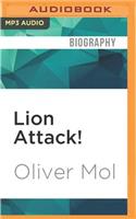 Lion Attack!