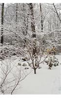 Forest Winter Storm Journal: (Notebook, Diary, Blank Book)
