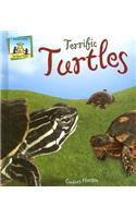 Terrific Turtles