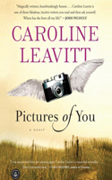 Pictures of You: A Novel