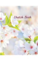 Sketch Book