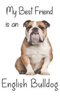 My best Friend is an English Bulldog