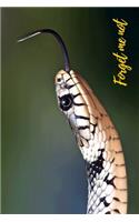 Forget Me Not: Snake Long Tongue.Internet Password Logbook with alphabetical tabs.Personal Address of websites, usernames, passwords notebook/Journal/Organizer/Kee