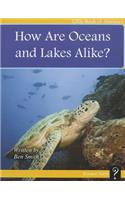 How Are Oceans and Lakes Alike?