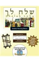Bar/Bat Mitzvah Survival Guides