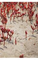 Beach Plants Notebook