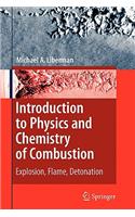 Introduction to Physics and Chemistry of Combustion
