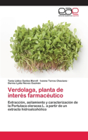Verdolaga, planta de interés farmacéutico