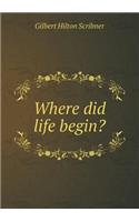 Where Did Life Begin?