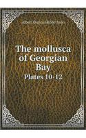 The Mollusca of Georgian Bay Plates 10-12