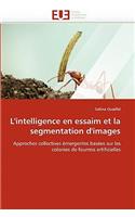 L''intelligence En Essaim Et La Segmentation d''images