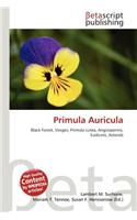 Primula Auricula