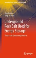 Underground Rock Salt Used for Energy Storage: Theory and Engineering Practice