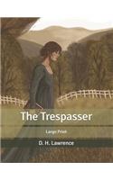 The Trespasser: Large Print