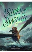 A Sliver of Stardust