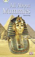 Bug Club Non-fiction Purple A/2C All About Mummies 6-pack: (BUG CLUB)