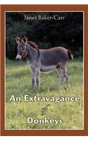 Extravagance of Donkeys