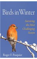 Birds in Winter