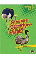 Can You Tell an Ostrich from an Emu