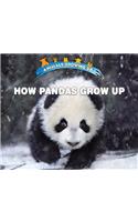 How Pandas Grow Up: (Animals Growing Up)