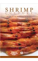 Shrimp Culture