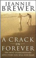 A Crack In Forever