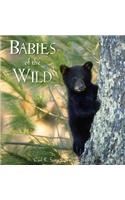 Babies of the Wild