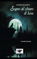 Sogno al chiaro di Luna