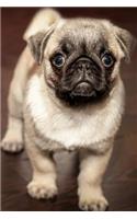 Pug: Notebook with Puppies for Girls Kids Adults, for Drawing Coloring and Writing, Cute Puppy Composition Notebook (Colorful Cover, Blank, 110 Pages, 6 