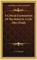 Critical Examination Of The Belief In A Life After Death