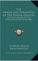 The Origin And Formation Of The Dental Follicle