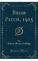 Briar Patch, 1915 (Classic Reprint)