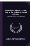 Acts of the Diocesan Synod