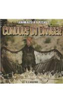Condors in Danger: (Animals at Risk)
