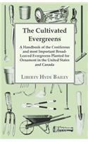The Cultivated Evergreens - A Handbook of the Coniferous and Most Important Broad-Leaved Evergreens Planted for Ornament in the United States and Canada