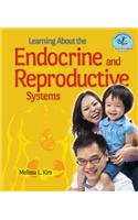 Learning about the Endocrine and Reproductive Systems
