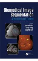 Biomedical Image Segmentation