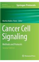 Cancer Cell Signaling