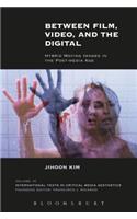 Between Film, Video, and the Digital