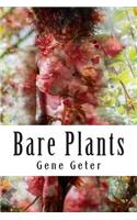 Bare Plants