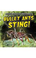 Bullet Ants Sting!