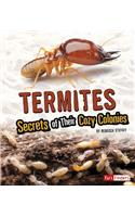 Termites: Secrets of Their Cozy Colonies