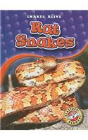 Rat Snakes: (Snakes Alive)